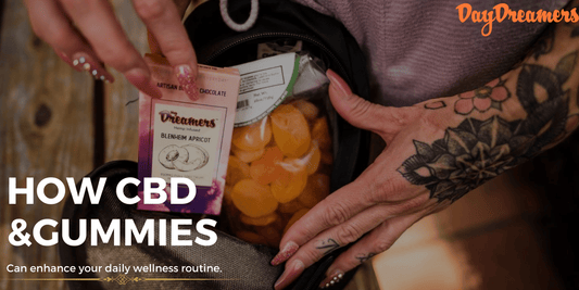 How CBD Chocolates and Gummies Can Enhance Your Daily Wellness Routine