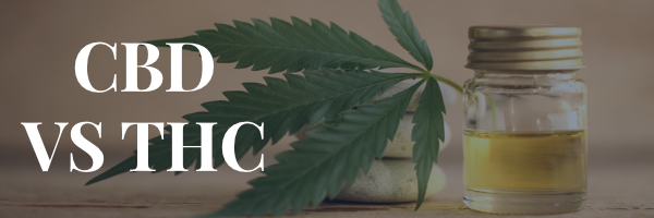 CBD vs. THC: Understanding the Differences and Similarities