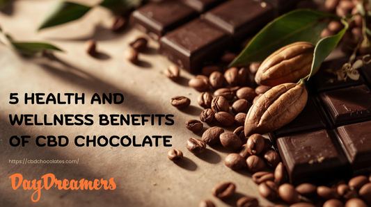 5 Health and Wellness Benefits of CBD Chocolate (Backed by Research)