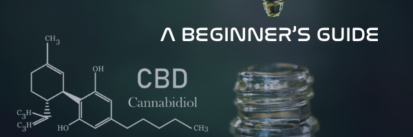 Cbd 101 A Beginners Guide To Understanding Cannabidiol Day Dreamers 5616