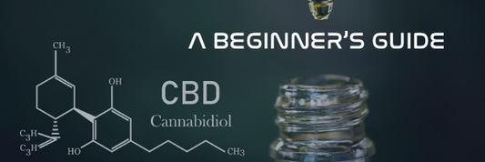 CBD 101: A Beginner's Guide to Understanding Cannabidiol