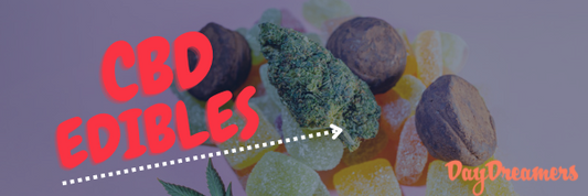 CBD Edibles: Delicious and Effective Ways to Experience Cannabidiol