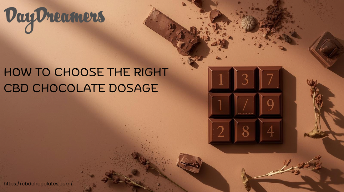 How to Choose the Right CBD Chocolate Dosage for Your Needs